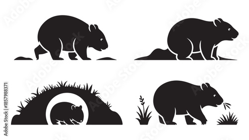 Australian Wombat Silhouettes in Minimalist Graphic Style with High Contrast Black and White Vector Format for Wildlife Icons and Logo Design.