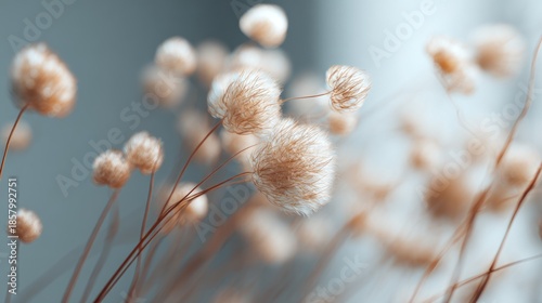 Delicate blossoms dance in a serene tableau of muted colors and soft focus
