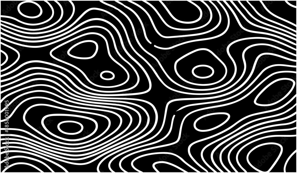 Fototapeta premium Black and White Topographic Map with Elevation Contour Lines. High-Detail Vector Illustration for Cartography and Design Use.