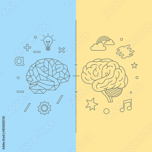 Illustration of the two hemispheres of the human brain.
