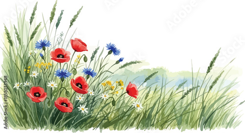 Vibrant watercolor illustration of a summer meadow corner featuring red poppies, blue cornflowers, and white daisies among green grasses.