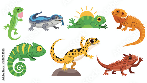 Collection of diverse lizard species in various colors and poses, illustrating reptile diversity