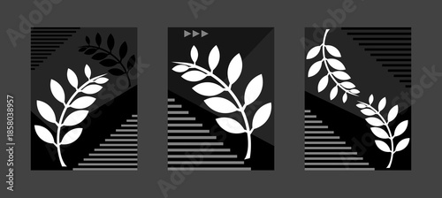 Background set. Modern design. Background for cards, posters, banners. Vector illustration.