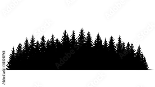 A dense silhouette of evergreen coniferous trees forming a natural forest line against a white background.