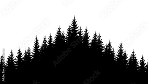 A dense, dark silhouette of a pine forest against a stark white background.