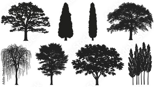 A collection of diverse tree silhouettes, showcasing various shapes and sizes, including deciduous and coniferous varieties.