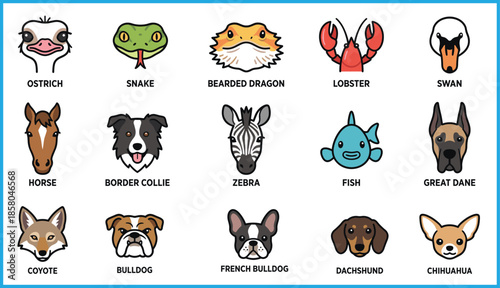 Animal face icon set featuring ostrich, snake, bearded dragon, lobster, swan, horse, zebra, fish, bulldog, dachshund, chihuahua, great dane, collie, vector grid for pet and wildlife education
