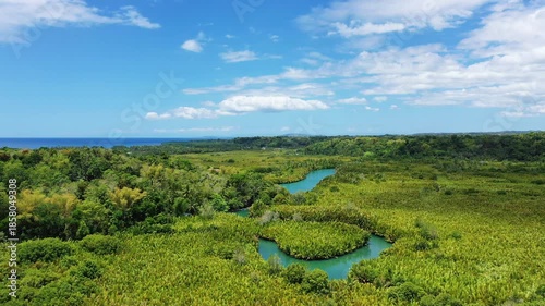 Aerial view of a lush tropical river meandering through dense greenery on Bohol island, Philippines, under a bright blue sky.