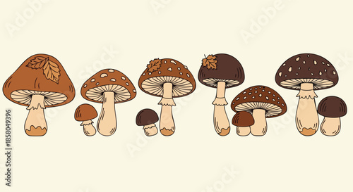 A charming collection of whimsical mushrooms in various sizes and brown hues with delicate leaf accents perfect for seasonal design elements