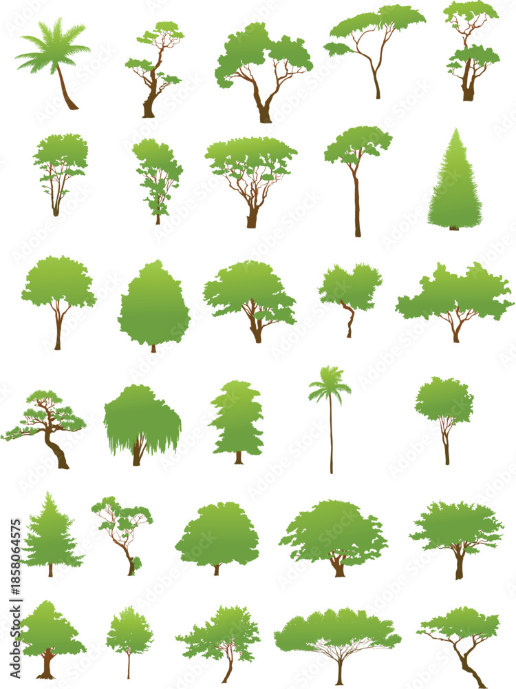 Fototapeta premium Design Tnt Trees Set Illustration