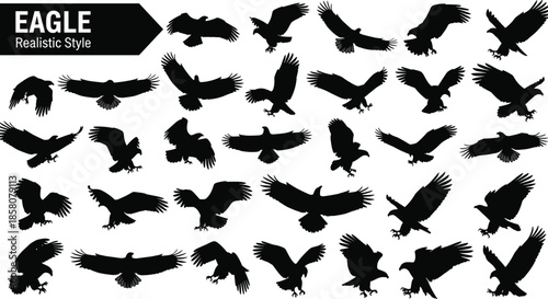 Black eagle silhouette vector set with realistic flying bird shapes and predator wings isolated on white background for wildlife design.