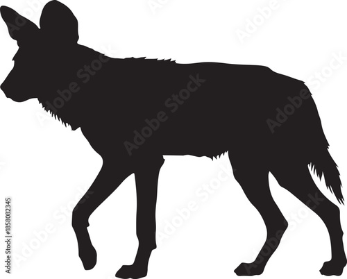 African Wild Dog Moving in Pack Formation with Spotted Coat