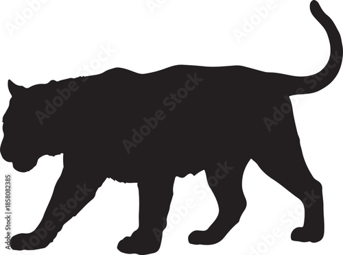 Bengal Tiger Moving Forward with Striped Body and Intense Gaze