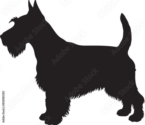 Foto Scottish Terrier Dog Silhouette