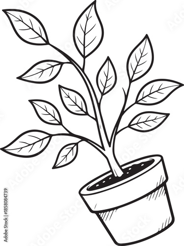 Black and white hand drawn illustration of potted young plant or seedling