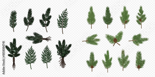 Set of various green pine branches and fir tree elements with snow, perfect for winter and holiday designs.