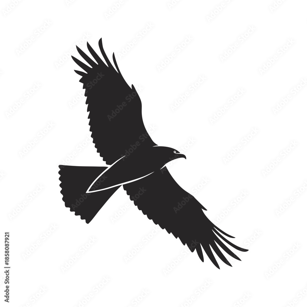 Obraz premium Soaring Eagle Silhouette in Flight Black and White Vector