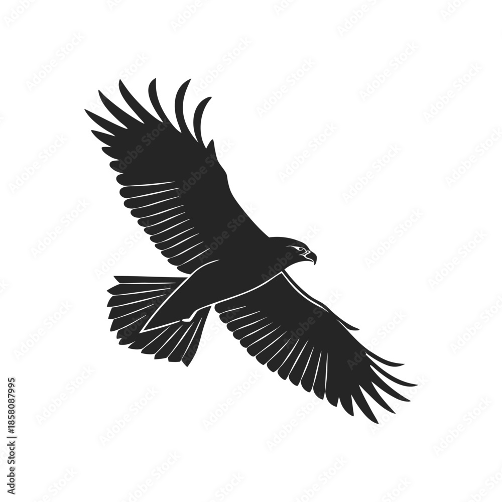 Obraz premium Soaring Eagle Silhouette Vector