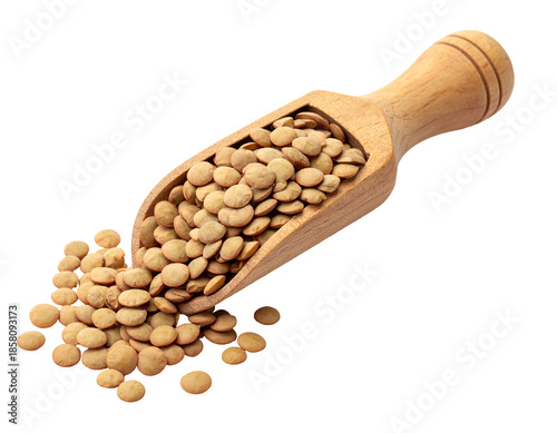 Wooden scoop filled with dried green lentils on a white background.