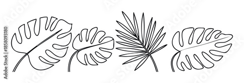 Simple line drawing of tropical jungle leaves perfect for creating a refreshing summer feel and adding a botanical touch to any project or design layout