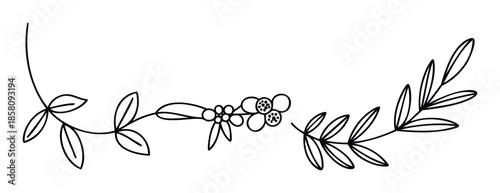 Minimalist botanical line drawing featuring delicate leaves and small berries, perfect for creating elegant borders, wedding invitations, or organicthemed graphic accents.