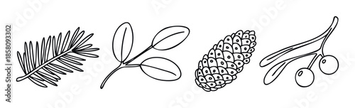 A collection of hand drawn botanical sketches featuring a pine branch, green leaves, a textured cone, and a berry twig, ideal for seasonal nature themed projects and decorations