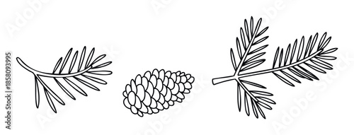 Winter holiday celebration botanical components with evergreen pine tree branches and natural cone perfect for seasonal greetings and festive decorating