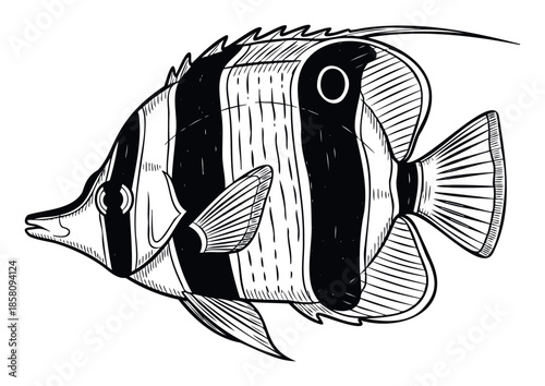 Black and white tropical fish with distinctive stripes swimming gracefully, ideal for educational materials on ocean wildlife, aquatic animal studies, or decorative projects featuring