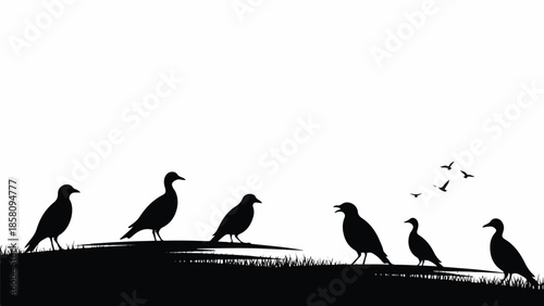 Flock of birds perched on a grassy hill with some in flight against a clear white background