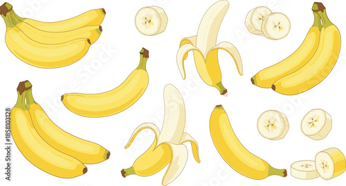Banana vector set with whole peeled sliced bananas isolated on white background flat illustration design elements