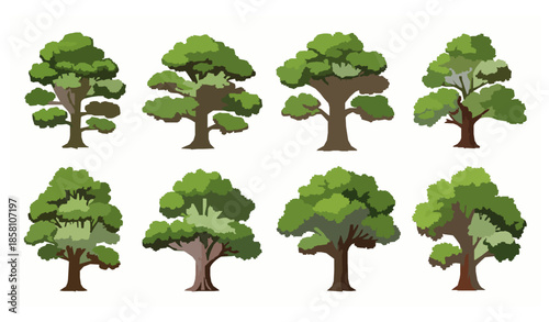 Big tree vector collection with mature forest trees isolated on white background
