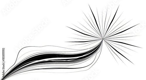 Black and White Abstract Lines.