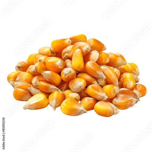 A close-up shot of a small pile of dry yellow corn kernels isolated on a black background