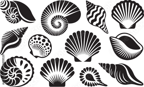 Marine shells and snail shells black silhouettes set collection of ocean nautical elements