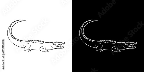 Elegant monochrome vector illustration of a sleek alligator or crocodile with a distinctive curved tail, ideal for brand logos, wildlife concepts, and modern graphic design projects