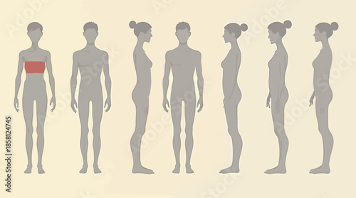 Diverse set of human body silhouettes showcasing male and female forms from different angles