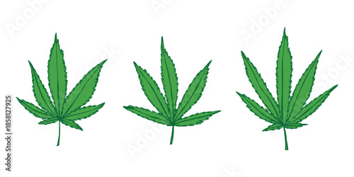 Set of hand drawn cannabis leaf Medicine marijuana Hemp leaves clipart in doodle style Single element for print, web, design, decor