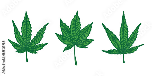 Set of hand drawn cannabis leaf Medicine marijuana Hemp leaves clipart in doodle style Single element for print, web, design, decor