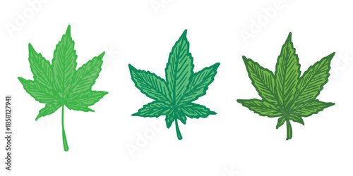 Set of hand drawn cannabis leaf Medicine marijuana Hemp leaves clipart in doodle style Single element for print, web, design, decor
