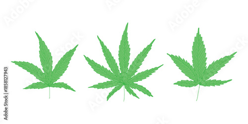 Set of hand drawn cannabis leaf Medicine marijuana Hemp leaves clipart in doodle style Single element for print, web, design, decor