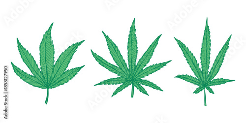 Set of hand drawn cannabis leaf Medicine marijuana Hemp leaves clipart in doodle style Single element for print, web, design, decor