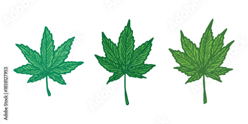 Set of hand drawn cannabis leaf Medicine marijuana Hemp leaves clipart in doodle style Single element for print, web, design, decor