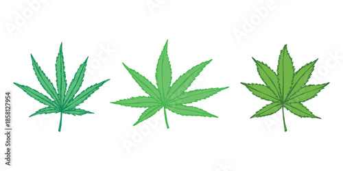 Set of hand drawn cannabis leaf Medicine marijuana Hemp leaves clipart in doodle style Single element for print, web, design, decor