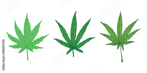 Set of hand drawn cannabis leaf Medicine marijuana Hemp leaves clipart in doodle style Single element for print, web, design, decor