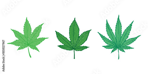 Set of hand drawn cannabis leaf Medicine marijuana Hemp leaves clipart in doodle style Single element for print, web, design, decor