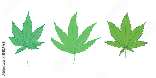 Set of hand drawn cannabis leaf Medicine marijuana Hemp leaves clipart in doodle style Single element for print, web, design, decor