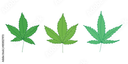 Set of hand drawn cannabis leaf Medicine marijuana Hemp leaves clipart in doodle style Single element for print, web, design, decor