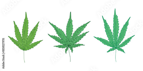 Set of hand drawn cannabis leaf Medicine marijuana Hemp leaves clipart in doodle style Single element for print, web, design, decor