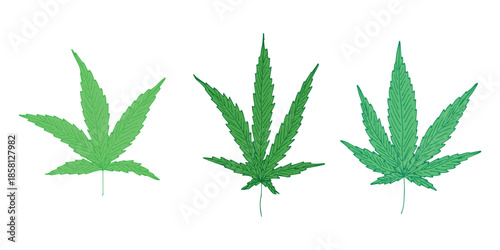 Set of hand drawn cannabis leaf Medicine marijuana Hemp leaves clipart in doodle style Single element for print, web, design, decor
