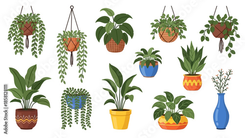 A collection of various potted houseplants, including hanging plants and floor plants, displayed in different decorative containers and vases.